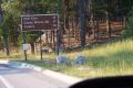 img023.jpeg.small.jpeg